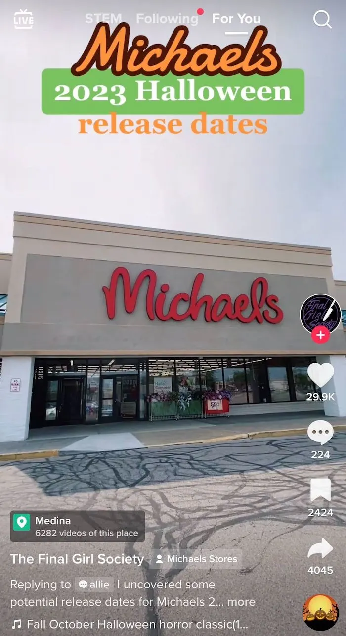 Michaels Stores 