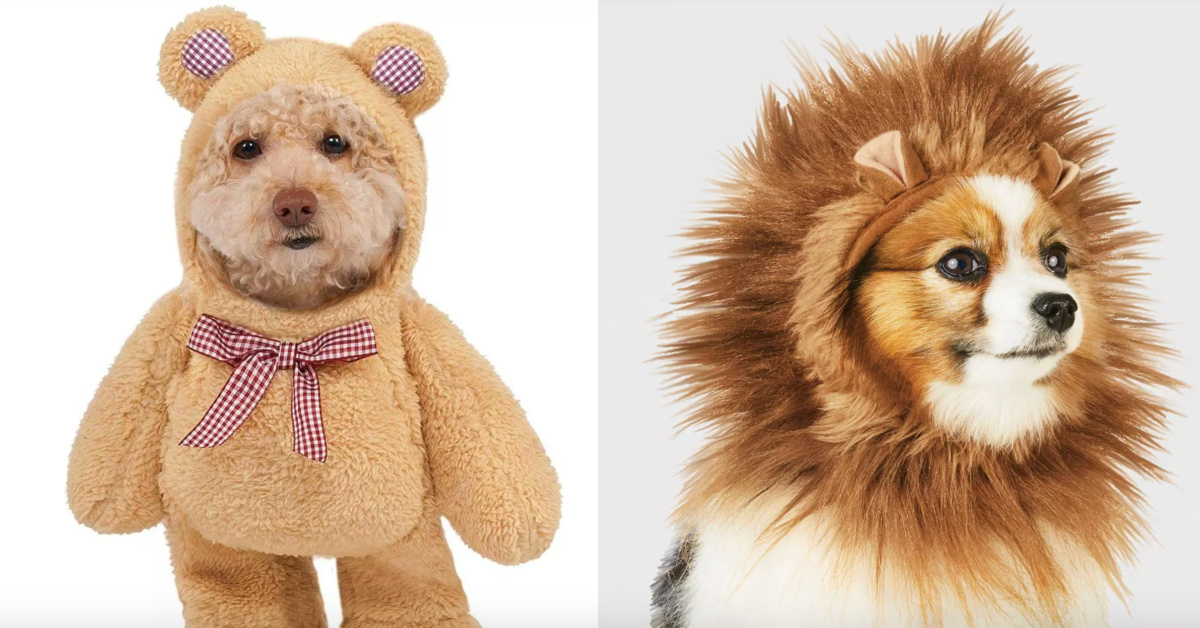 Target Just Dropped Their Halloween Pet Costumes and They Are Adorable