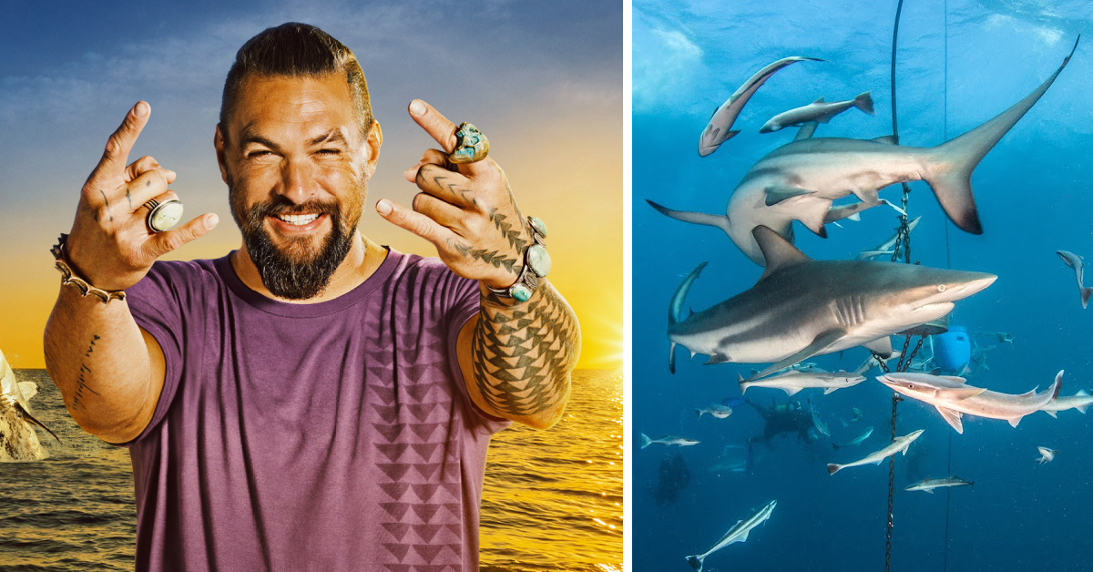 Jason Momoa Is Hosting This Year’s Shark Week And We Are So There