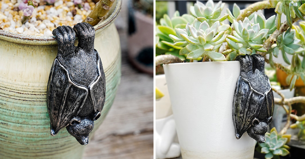 You Can Get A Hanging Bat That Hugs Your Favorite Flower Pot and It’s So Cute