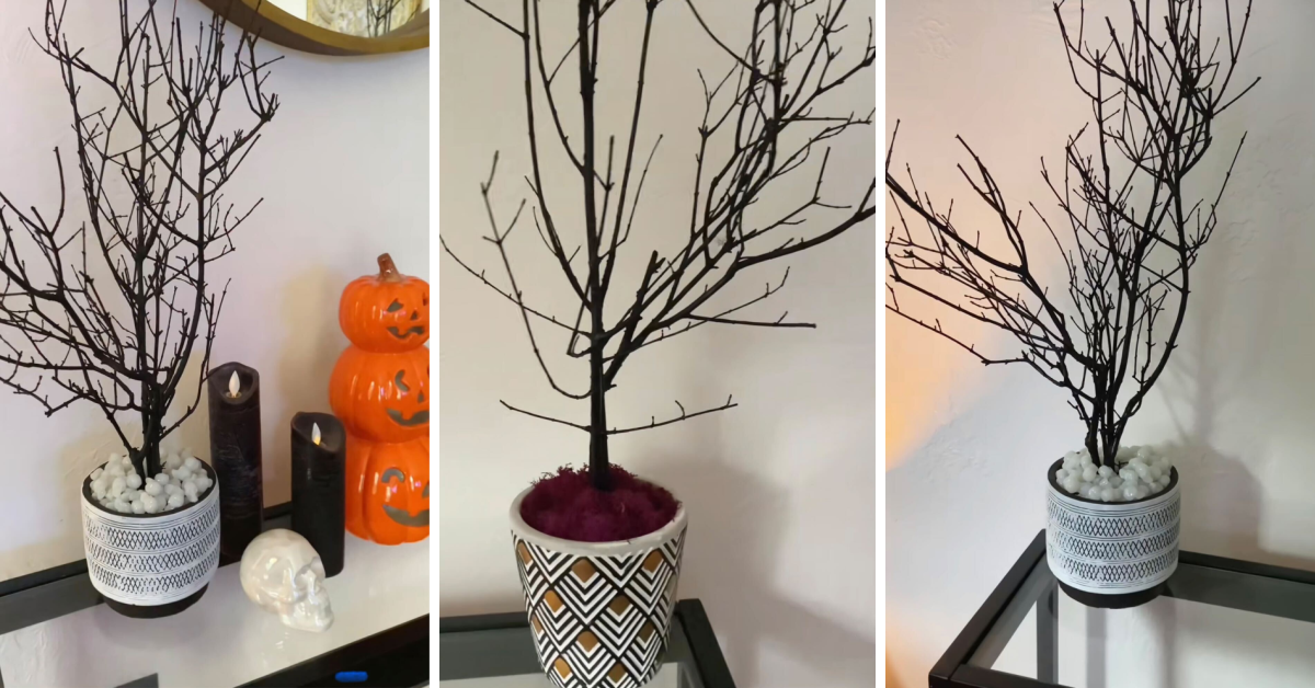 Here’s How to Make Your Own Spooky Trees This Halloween