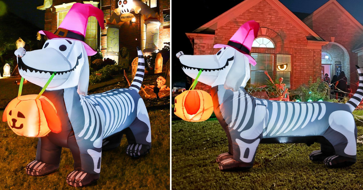 You Can Get An Inflatable Skeleton Puppy To Put In Your Yard This Halloween
