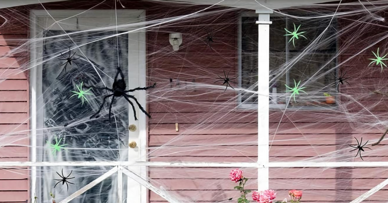 Here’s Why You Should Never Use Fake Spiderweb to Decorate for Halloween