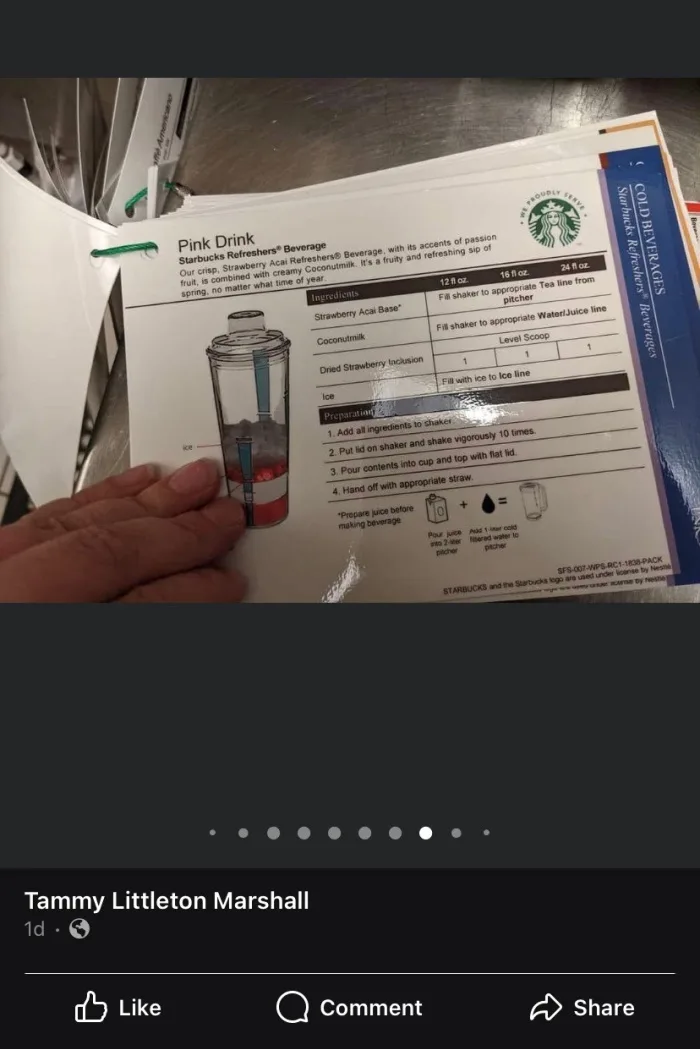 Starbucks refresher's shaker new