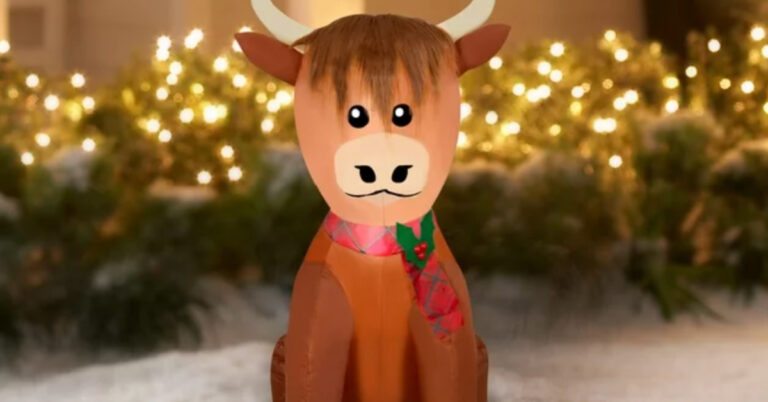 You Can Get An Inflatable Christmas Highlander Cow To Put in Your Yard For The Holidays