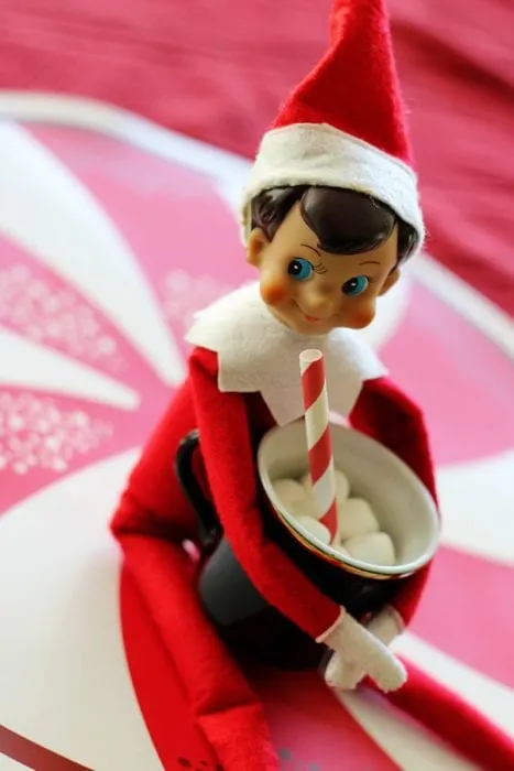 30 Easy And Low Cost Elf On The Shelf Ideas