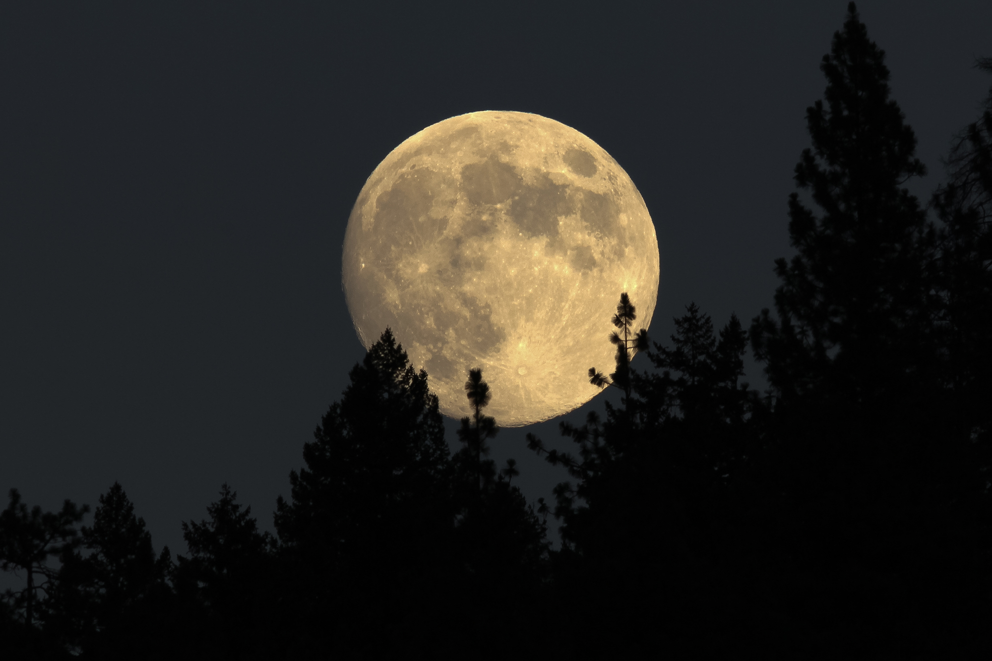 November’s Full Beaver Moon Is Happening Soon. Here’s When You Can See It.