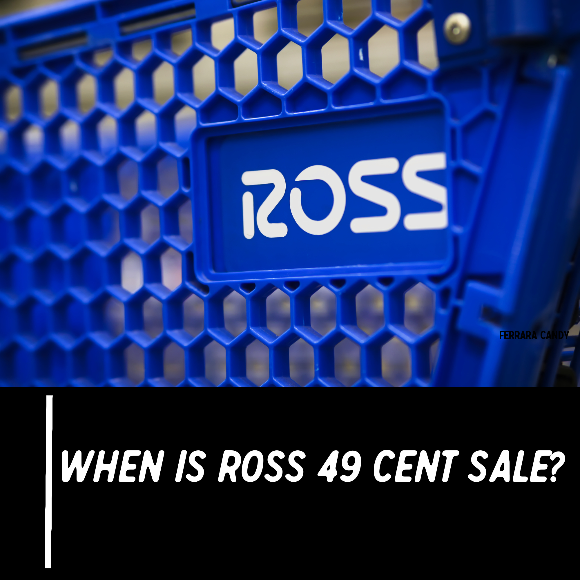 2024 ROSS 49¢ Sale is a Real Thing!