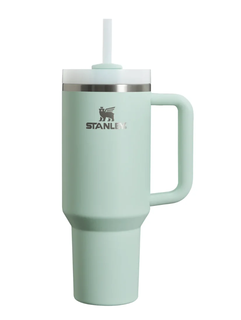 STANLEY Accessory?! 🥤, Gallery posted by Kiersten