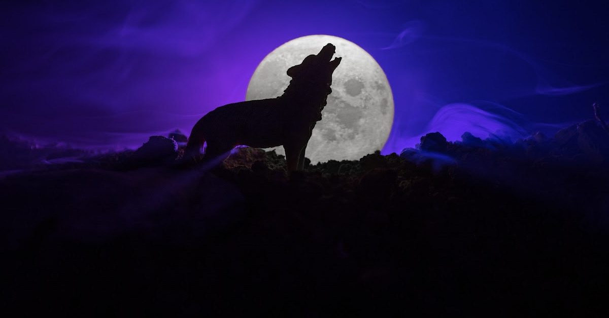January’s Full Wolf Moon Is Coming. Here’s When You Can See It.