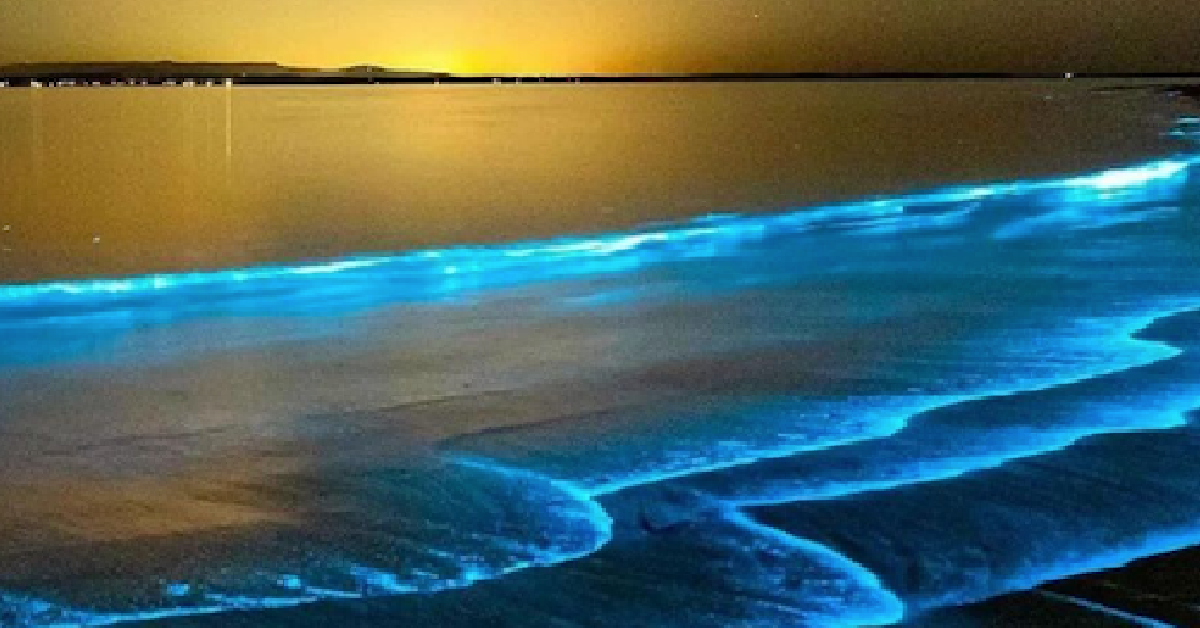 If You Ever See Blue Glowing Water, Here’s What it Means