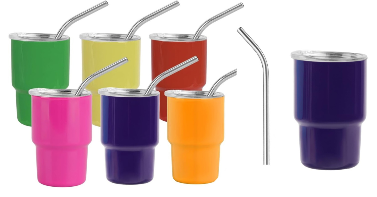 You Can Now Get Stanley Tumbler Shot Glasses and Taking Shots Has Never Looked So Cute