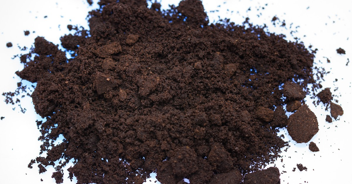 Here’s Where You Shouldn’t Use Coffee Grounds in Your Garden.