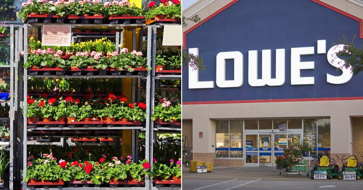 Lowe’s Is Giving Away Free Flowers For Mother’s Day and I Can’t Wait
