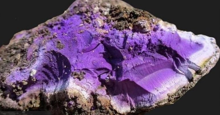 Archaeologists in England Found an Ancient Purple Dye Once Worth More Than Gold